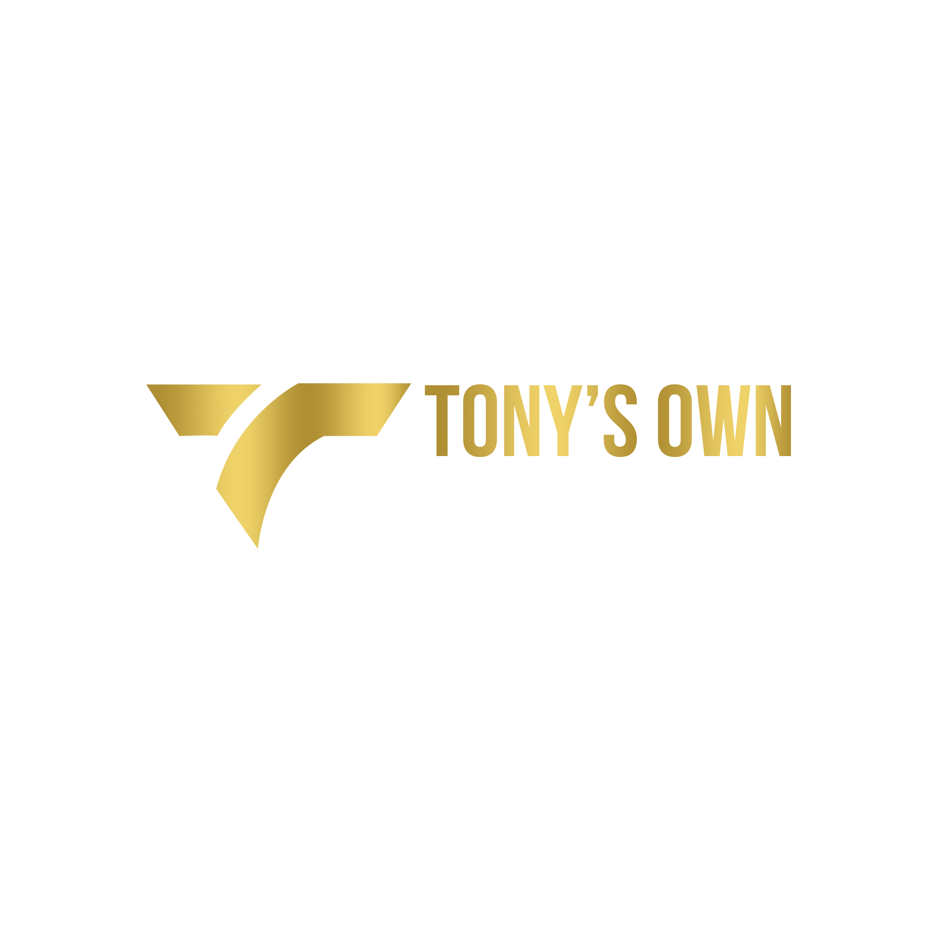 Tony's Own Entertainment